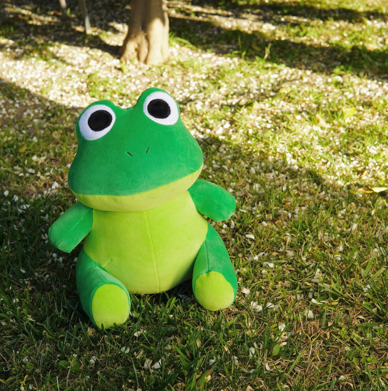 Avocatt Green Frog Plush Toy - 10 Inches Stuffed Animal Plushie - Hug and Cuddle with Squishy Soft Fabric and Stuffing - Cute
