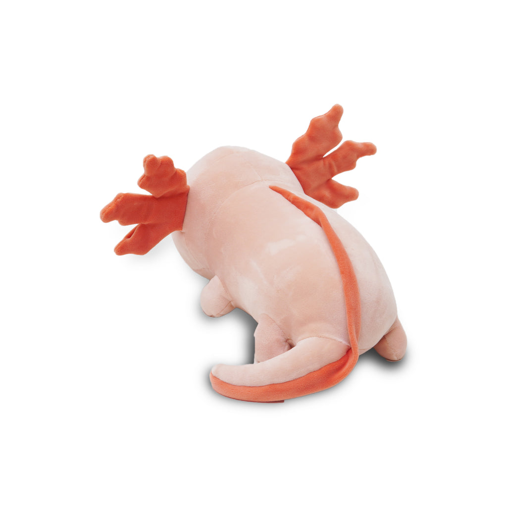 Avocatt Pink Axolotl Stuffed Plush - 10 Inches Mexican Salamander Stuffed Animal Plushie